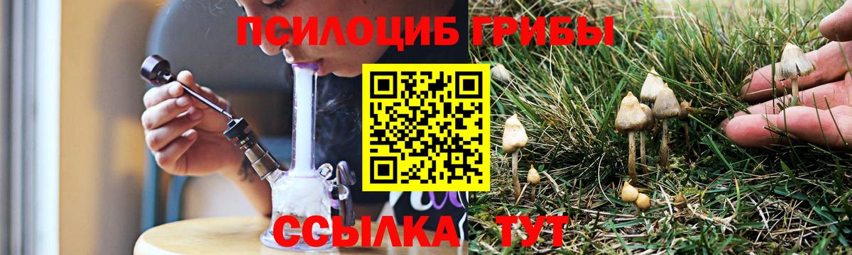 даркнет сайт  Псилоцибиновые грибы ЛСД  Вход с VPN  Сафоново 