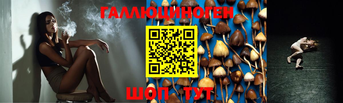 Псилоцибиновые грибы мухоморы Сафоново